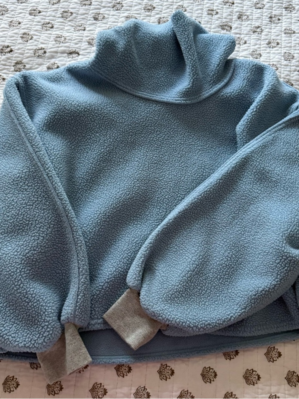 Free People Light Blue Plush Sherpa Pullover
